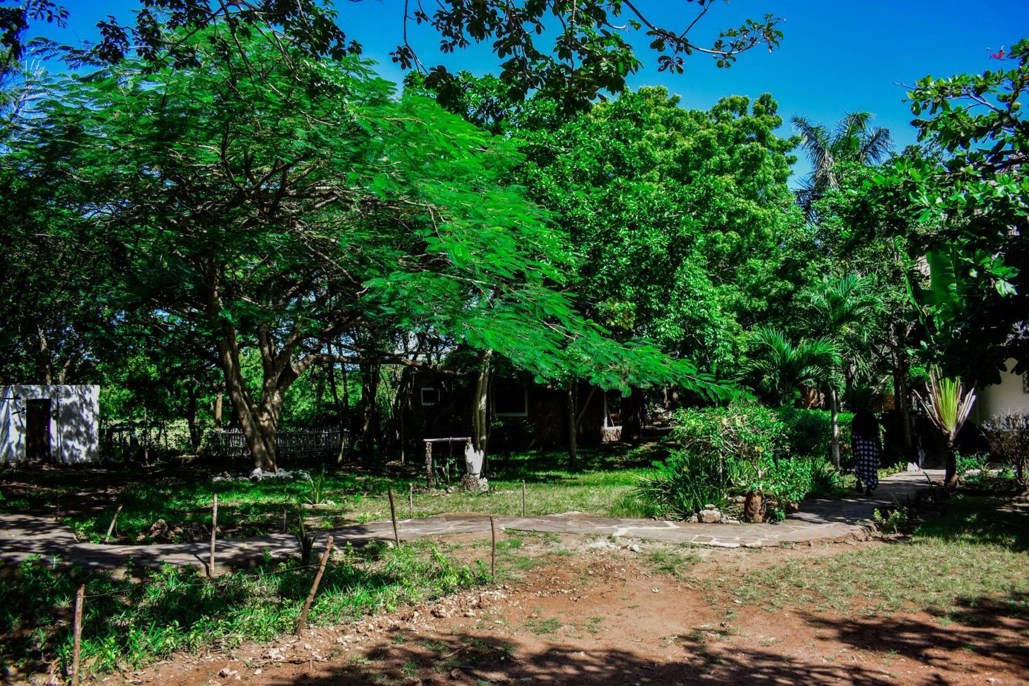 African Hut Tiny Cottage Playa de Diani Exterior foto