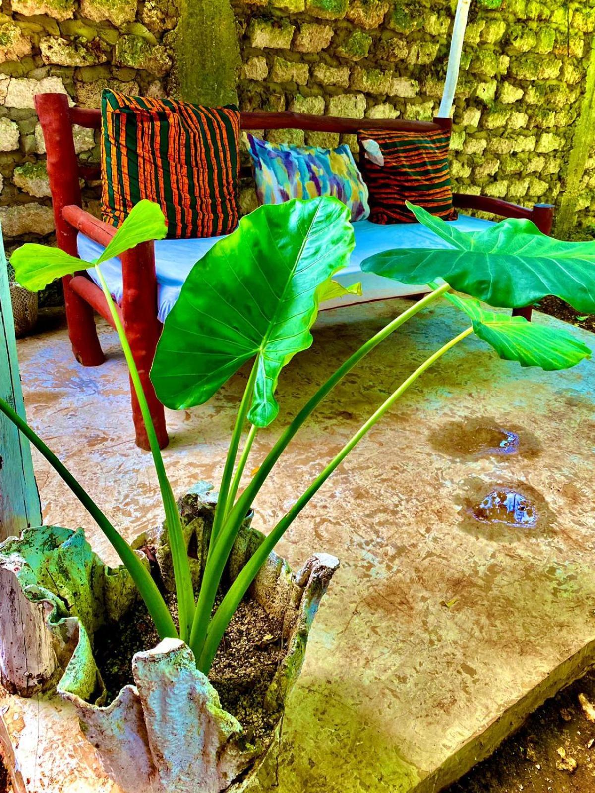 African Hut Tiny Cottage Playa de Diani Exterior foto