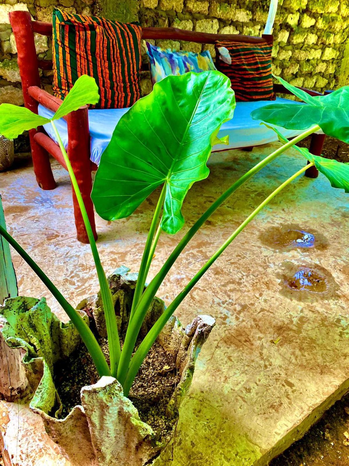 African Hut Tiny Cottage Playa de Diani Exterior foto