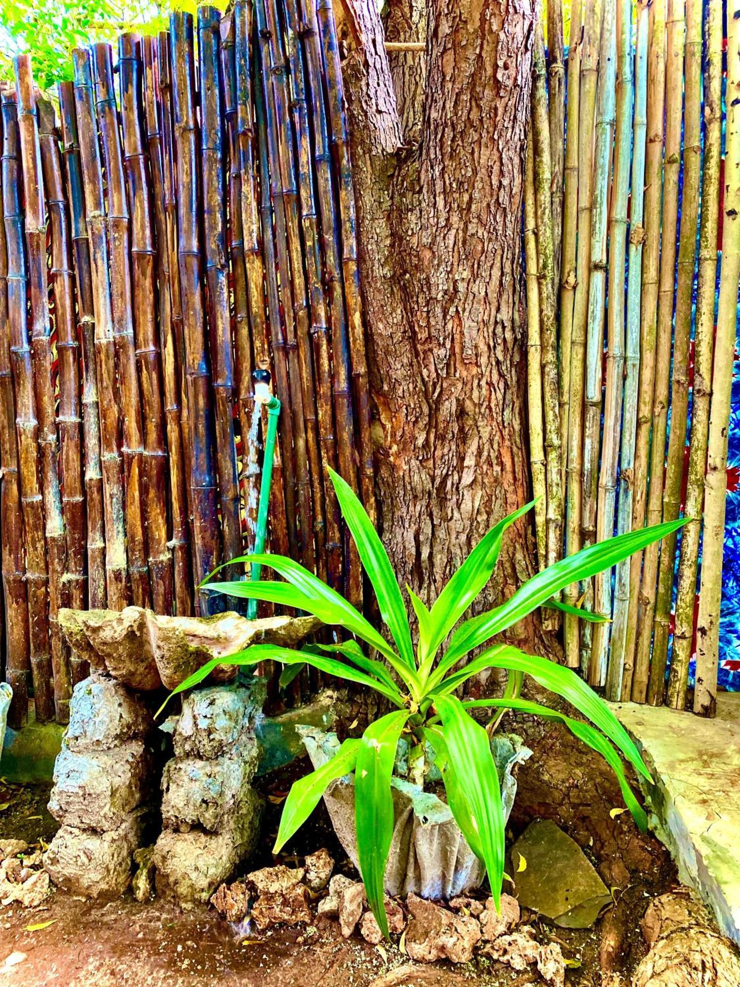 African Hut Tiny Cottage Playa de Diani Exterior foto